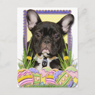Cartes Pour Fêtes Annuelles Easter Egg Cookies - French Bulldog