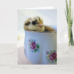 Cartes Pour Fêtes Annuelles Easter Egger Chick in Cup Toutes les occasions Sal