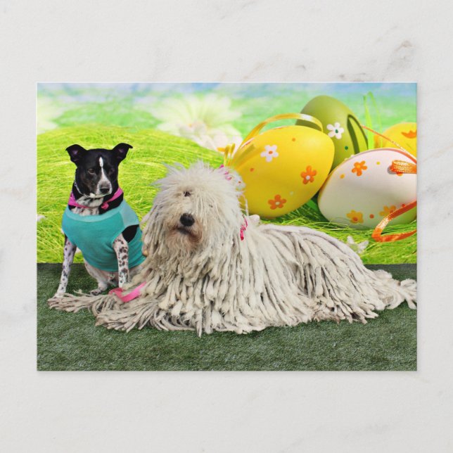 Cartes Pour Fêtes Annuelles Easter - Komondor - Zoey - Basenji X - Jasper (Devant)