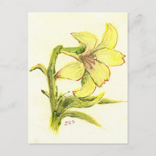 Cartes Pour Fêtes Annuelles Easter Lilly par maman (Devant)