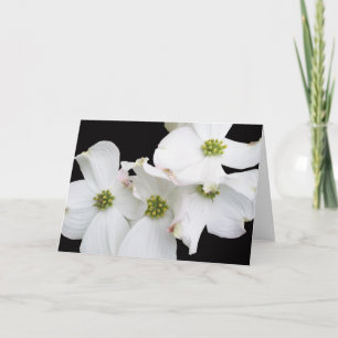 Cartes Pour Fêtes Annuelles Eastern Dogwood Blossoms