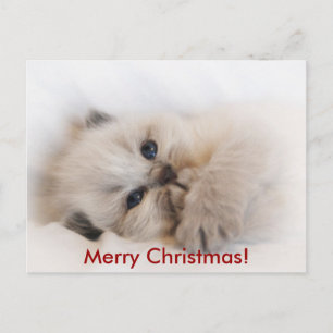 Cartes Pour Fêtes Annuelles ebay 003, Joyeux Noël !
