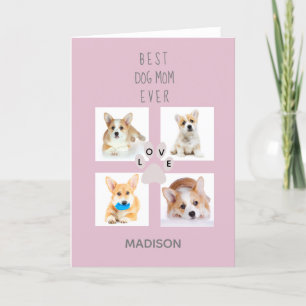 Cartes Pour Fêtes Annuelles École de photo Dog Mom journée des mères