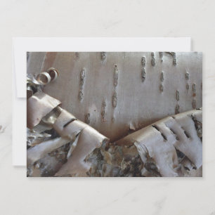 Cartes Pour Fêtes Annuelles Écorce de bouleau frisé Arbre rustique