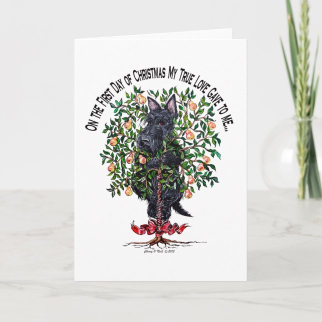 Cartes Pour Fêtes Annuelles Ecosse dans un arbre à poires (Devant)