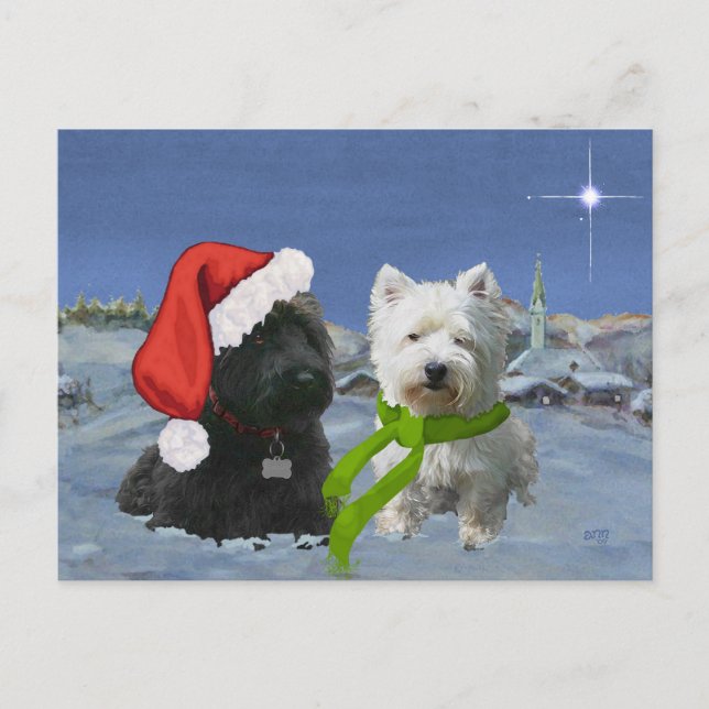 Cartes Pour Fêtes Annuelles Ecosse et Westie Christmas Star (Devant)