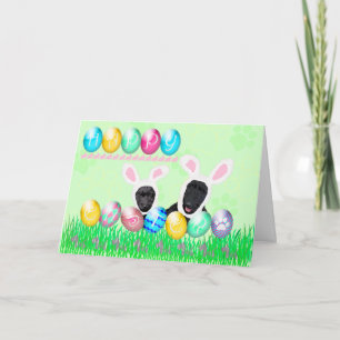 Cartes Pour Fêtes Annuelles Ecosse Pâques