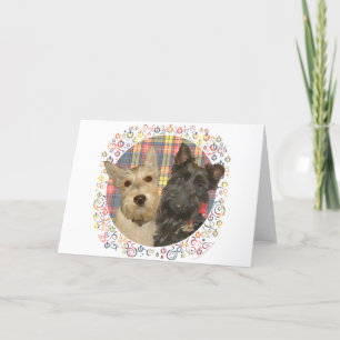 Cartes Pour Fêtes Annuelles Ecosse roux et noir sur Tartan