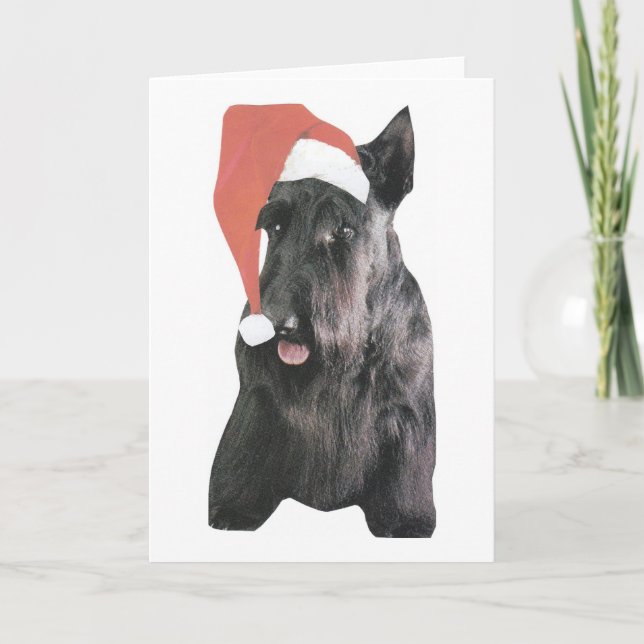 Cartes Pour Fêtes Annuelles Ecosse Terrier Santa Hat Noël (Devant)
