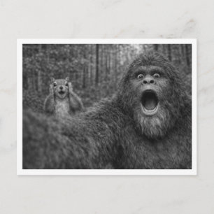Cartes Pour Fêtes Annuelles Écureuil Bigfoot Selfie