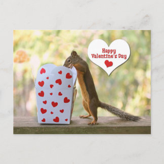 Cartes Pour Fêtes Annuelles Écureuil de la Saint-Valentin