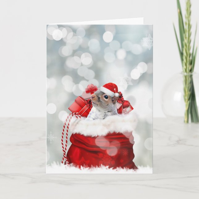 Cartes Pour Fêtes Annuelles Écureuil de Noël (Devant)