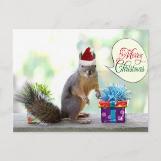 Cartes Pour Fêtes Annuelles Écureuil de Noël avec cadeaux de Noël