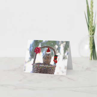 Cartes Pour Fêtes Annuelles Écureuil de Noël dans le panier de neige