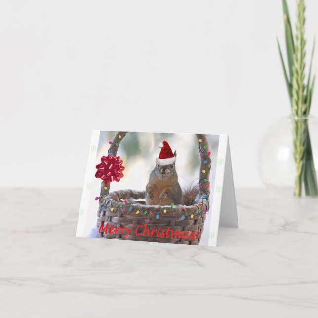 Cartes Pour Fêtes Annuelles Écureuil de Noël drôle (Devant)