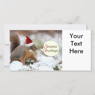 Cartes Pour Fêtes Annuelles Écureuil de Noël en neige