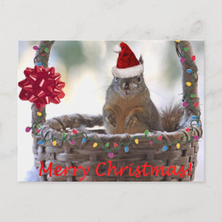 Cartes Pour Fêtes Annuelles Écureuil de Noël en panier avec neige