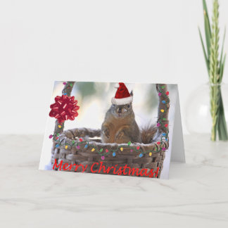 Cartes Pour Fêtes Annuelles Écureuil de Noël en panier avec neige