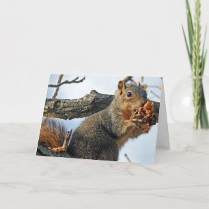 Cartes Pour Fêtes Annuelles Écureuil de Pâques