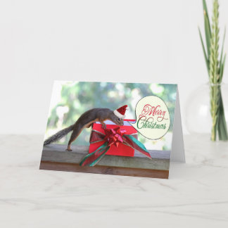 Cartes Pour Fêtes Annuelles Écureuil d'ouverture Noël présent