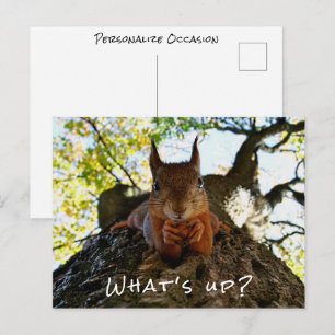 Cartes Pour Fêtes Annuelles Écureuil drôle Qu'est-ce que c'est Mignon Animal B