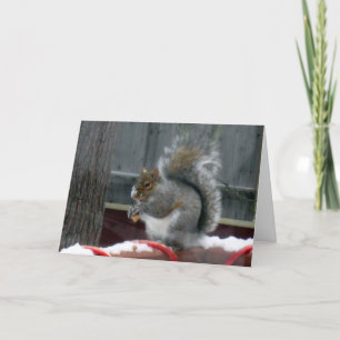 Cartes Pour Fêtes Annuelles Écureuil gris en hiver
