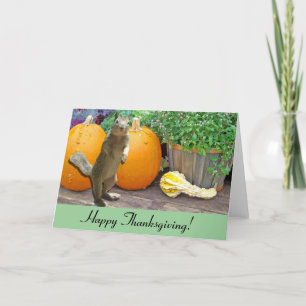 Cartes Pour Fêtes Annuelles Écureuil mignon Thanksgiving