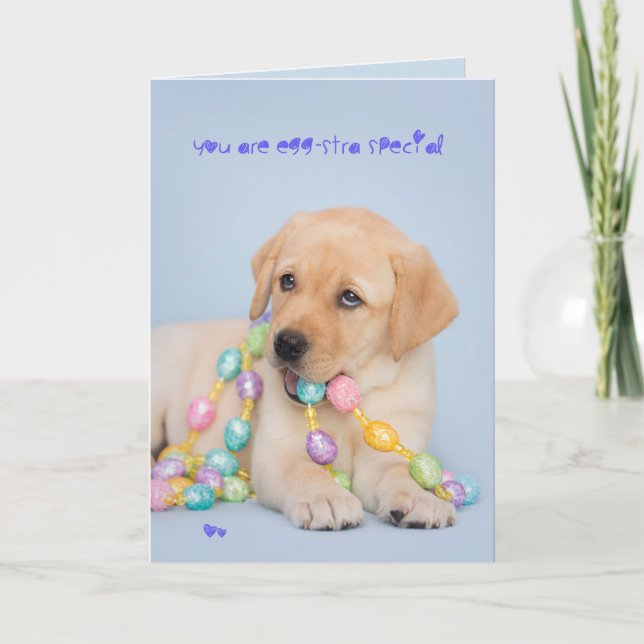 Cartes Pour Fêtes Annuelles Eggstra special yellow labrador puppy easter (Devant)