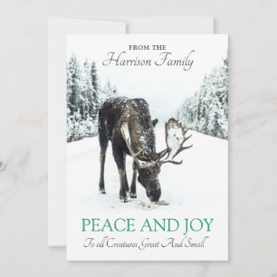 Cartes Pour Fêtes Annuelles Élan En Neige D'hiver Noël Paix Joie
