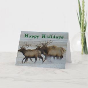 Cartes Pour Fêtes Annuelles Élan mâle E64 en train de courir
