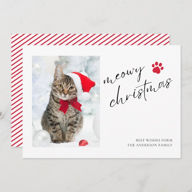 Cartes Pour Fêtes Annuelles Élégant Meowy Christmas Chat Photo Noël (Devant / Derrière)