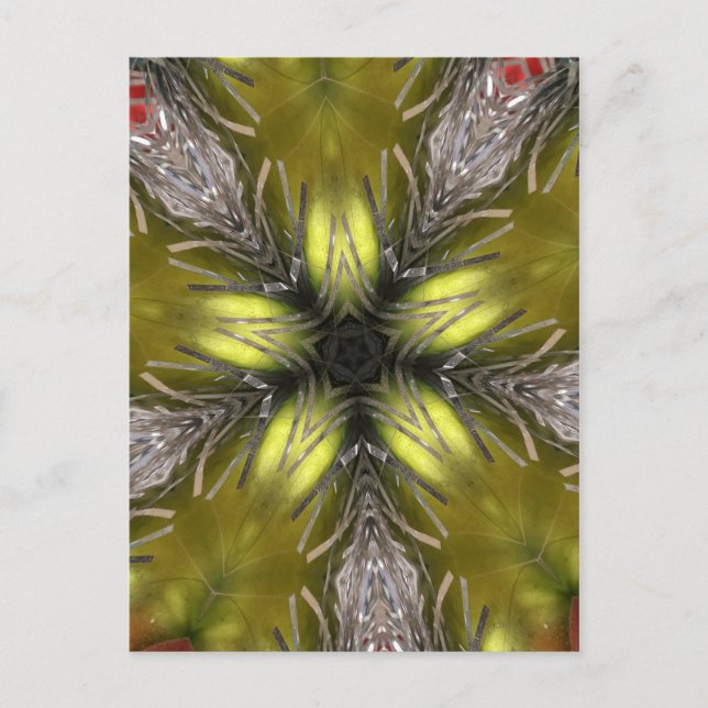 Cartes Pour Fêtes Annuelles Élégant or Silver Kaleidoscope Star de Noël (Devant)