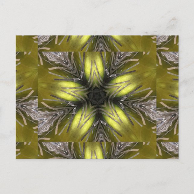 Cartes Pour Fêtes Annuelles Élégant or Silver Kaleidoscope Star de Noël (Devant)