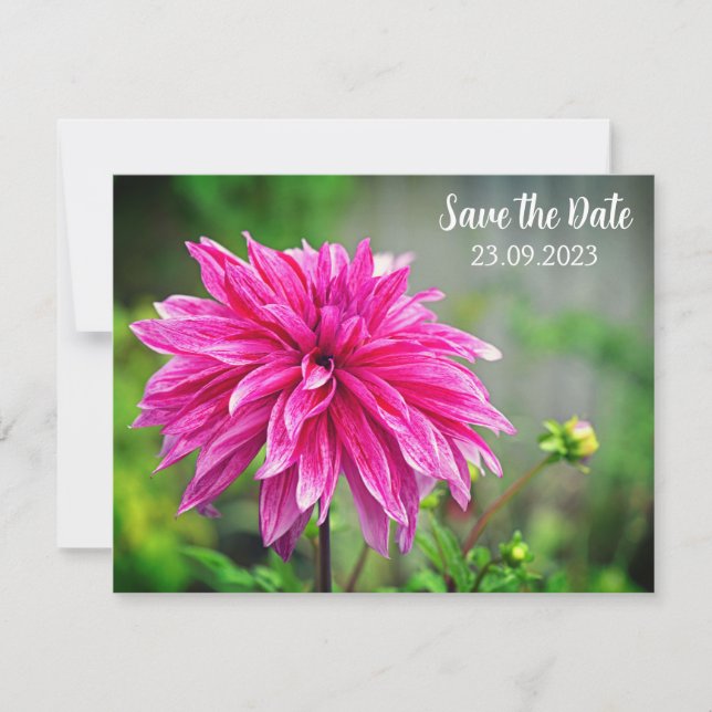 Cartes Pour Fêtes Annuelles Élégante fleur rose dahlia Enregistrer la date (Devant)