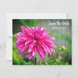 Cartes Pour Fêtes Annuelles Élégante fleur rose dahlia Enregistrer la date