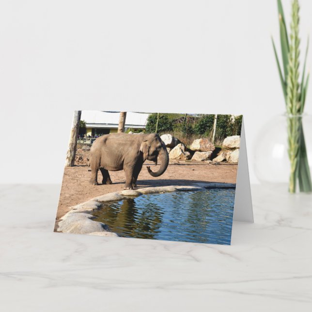 Cartes Pour Fêtes Annuelles éléphant d'Asie (Devant)