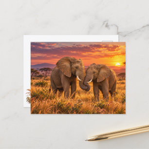Cartes Pour Fêtes Annuelles Éléphants africains romantiques au coucher du sole