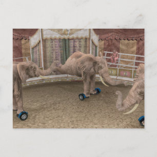 Cartes Pour Fêtes Annuelles Eléphants de cirque