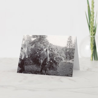 Cartes Pour Fêtes Annuelles Emballage de Noël