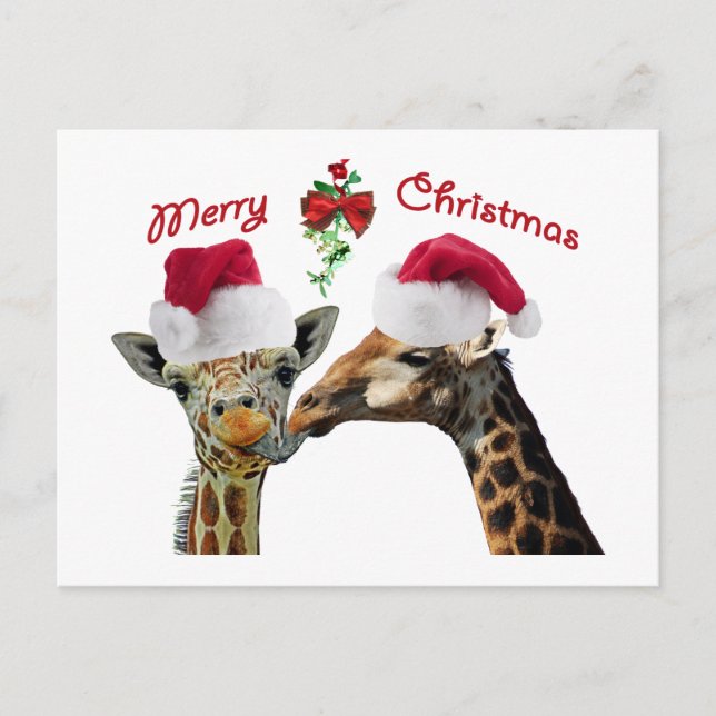 Cartes Pour Fêtes Annuelles Embrasser les girafes de Noël sous Mistletoe (Devant)