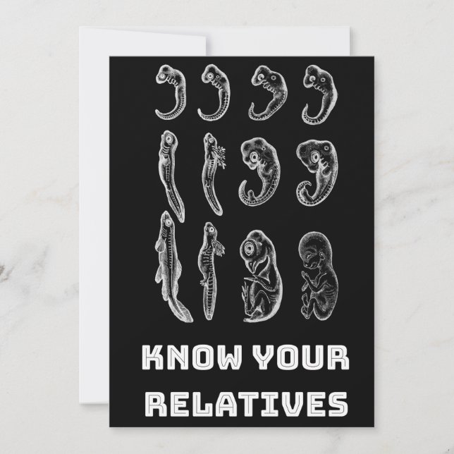 Cartes Pour Fêtes Annuelles Embryogenèse de l'évolution (Devant)