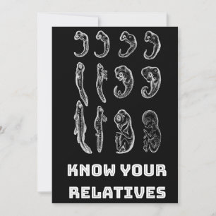 Cartes Pour Fêtes Annuelles Embryogenèse de l'évolution