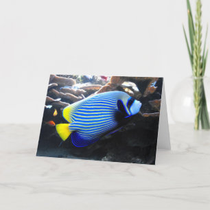 Cartes Pour Fêtes Annuelles Empereur des Anges