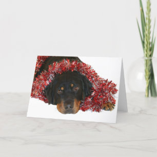 Cartes Pour Fêtes Annuelles En attente de Père Noël