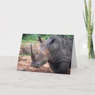 Cartes Pour Fêtes Annuelles Endangered rhino, Afrique du Sud