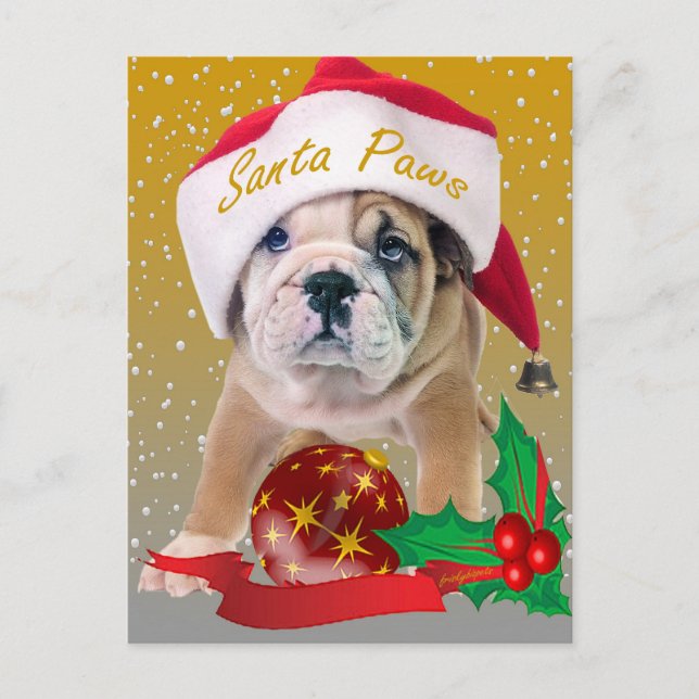 Cartes Pour Fêtes Annuelles English Bulldog Puppy Christmas Cards (Devant)