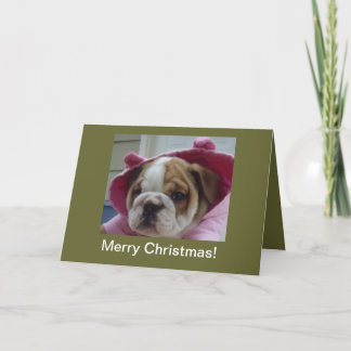 Cartes Pour Fêtes Annuelles English Bulldog Puppy Christmas Cards