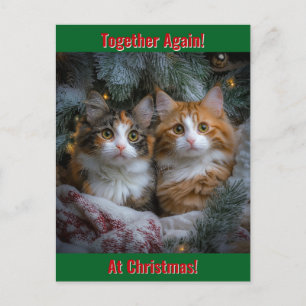 Cartes Pour Fêtes Annuelles Ensemble à nouveau à Noël!