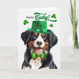 Cartes Pour Fêtes Annuelles Entlebucher Mountain Dog Lucky St Patrick's Day