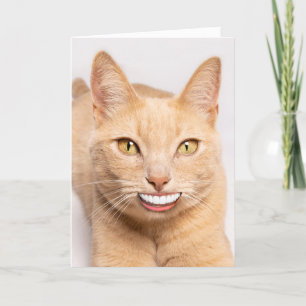 Cartes Pour Fêtes Annuelles Envoi d'un chat sourire drôle avec des dents humai